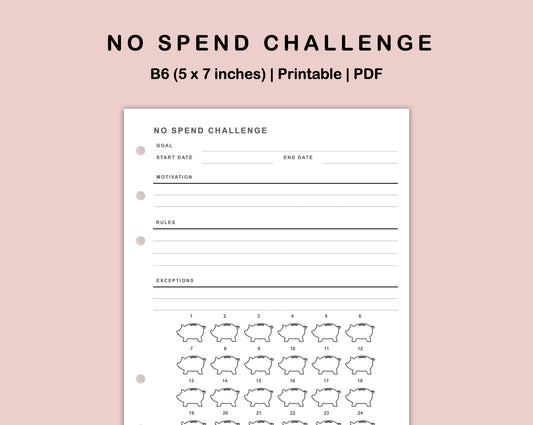 B6 Inserts - No Spend Challenge