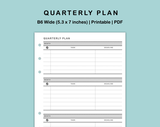 B6 Wide Inserts - Quarterly Plan